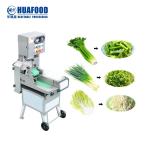 Brand New Buy Multi-Function Vegetable Radish Onion Dicing Cutting Machine With
