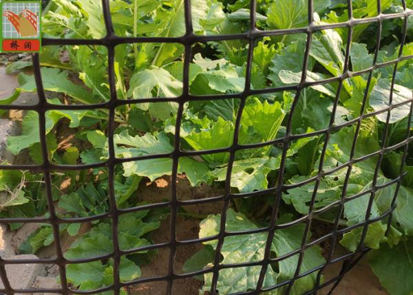 Quality Heavy Duty Fence 50CM Garden Mesh Netting for sale