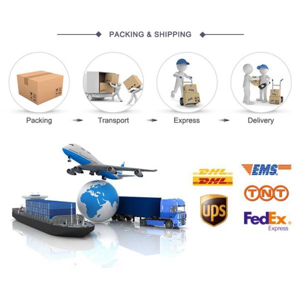 String Tube Pendant Crystal Chandelier Light For Living Room Dining Event Stage 60CM