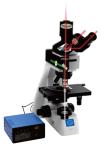 Upright Biological Microscope B70 with Objective Turntable