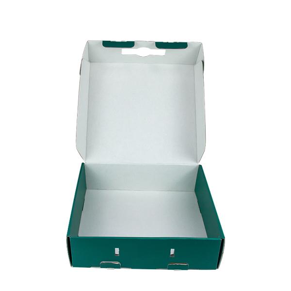 SEDEX Green Paper Rectangle Custom Printed Cardboard Boxes Packaging