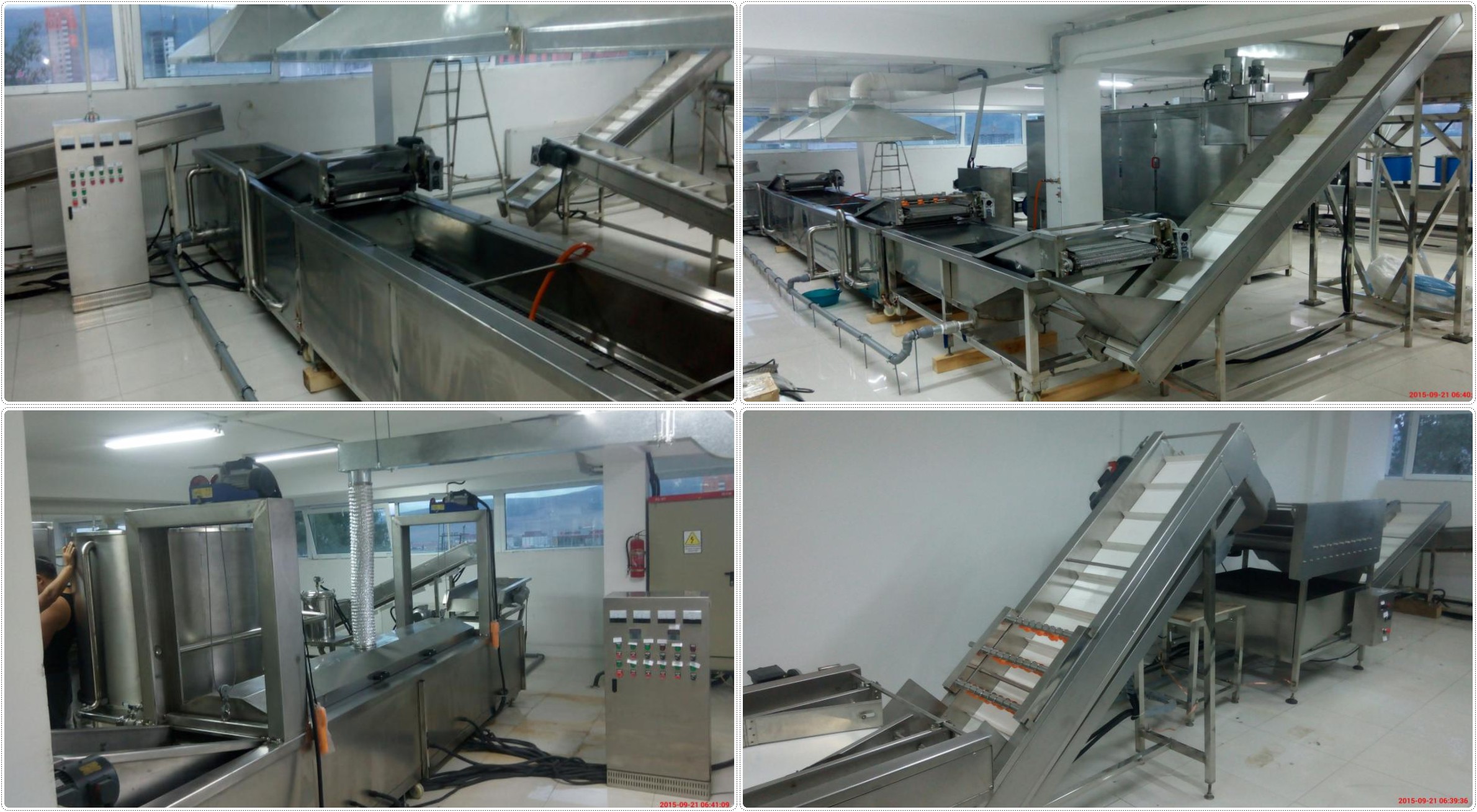 Ss304 Material French Fries Processing Line Food Processing 12 Months Warranty