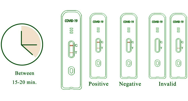 SARS-CoV-2 Antigen Swab Test Kit 10 Tests/Kit CE For Nasal Rtk Antigen Saliva Test