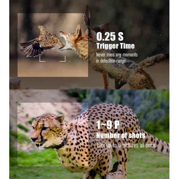 High Sensor Resolution Wildlife Camera 13MP Cmos Dual Lens Trail Camera