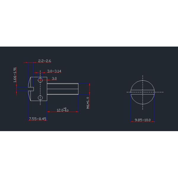 M6 Electric Meter Lead Seal Screws Phillips Socket Head With Hole Nails SUS304