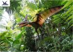 Handmade / Assembling Pterosaurs Realistic Dinosaur Models Width 5 Meters