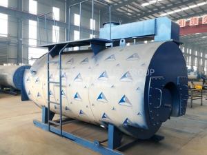 China PLC Control Industrial Gas Fired Steam Boilers , Natural Gas Boiler For Palm Oil Mill on sale