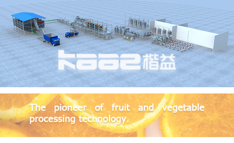 Citrus Orange Sacs NFC Juice Processing Line Lemon Juice Extraction Machine