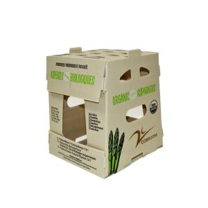 PP PE Mango Corrugated Box Polypropylene Corflute Storage Boxes