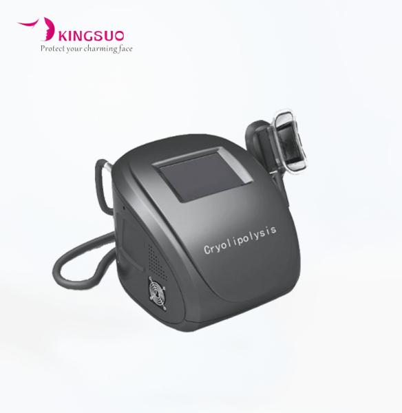 Quality Mini Home Use One Handle Cryolipolysis Weight Loss Machine for sale
