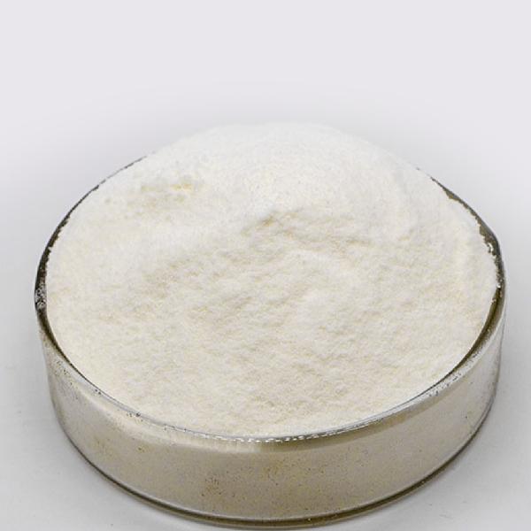 Quality Food Grade Bromelain Gluten 2400GDU Bromelain Powder For Protein Hydrolysis for sale