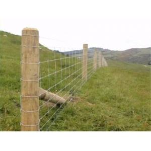 Anping manufacturers directly sell galvanized rust-proof wire mesh breeding