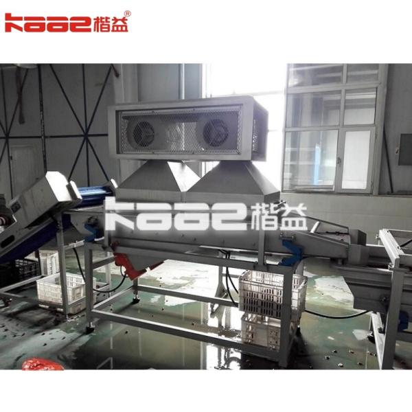Turnkey Project Dates Drying Machine 500kg/H Date Syrup Palm Dates Production