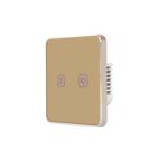 WiFi 240V 2 Gang Tuya Smart Switch With Google Alexa Voice Control