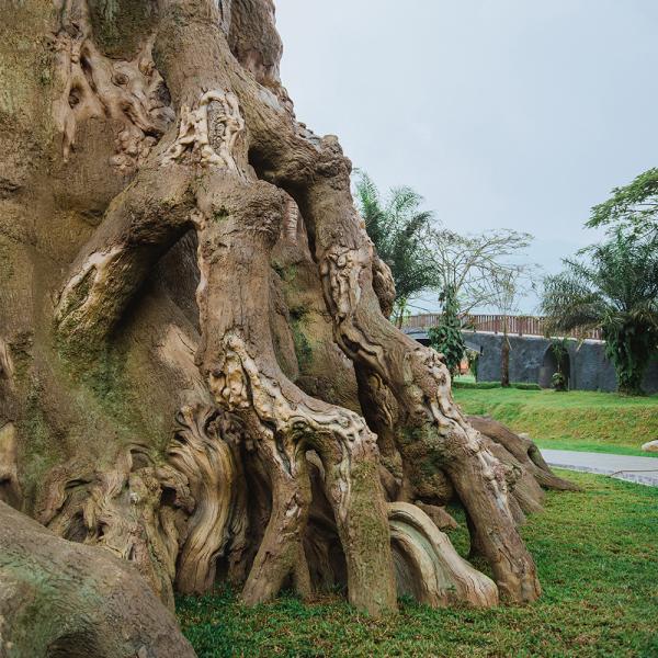 30m Tall Magic Treehouse for theme park – Artificial House Trees of life Designs for decoartion