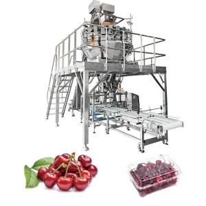 Buy cheap Automatic Fruit Vegetable Carrot Citrus Raspberry Nectarines Tray Horizontal Packing Packaging Machine product