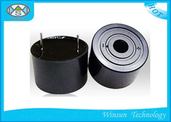 Quality Internal Drive Micro Piezo Buzzer Highly Efficient D24 X H18mm For Children Toys for sale