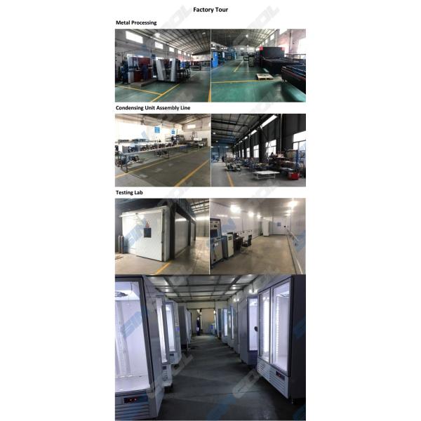 220V 50H Upright Glass Door Freezer Beverage Glass Display Cooler 1380L Display Volume