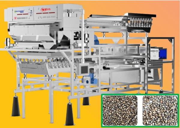Quality Melon Seeds / Nuts Color Sorter High Output 8.75kw 220V With Microsoft Software for sale