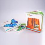 300gsm Children'S Book Printing And Binding C1S Offset Printing Services
