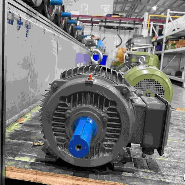 Quality Cast Iron Three Phase Induction variable Electric Motor CE for sale