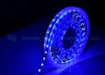 5050 5M Remote Control Programmable Rgbw Led Strip Light Multi - Color