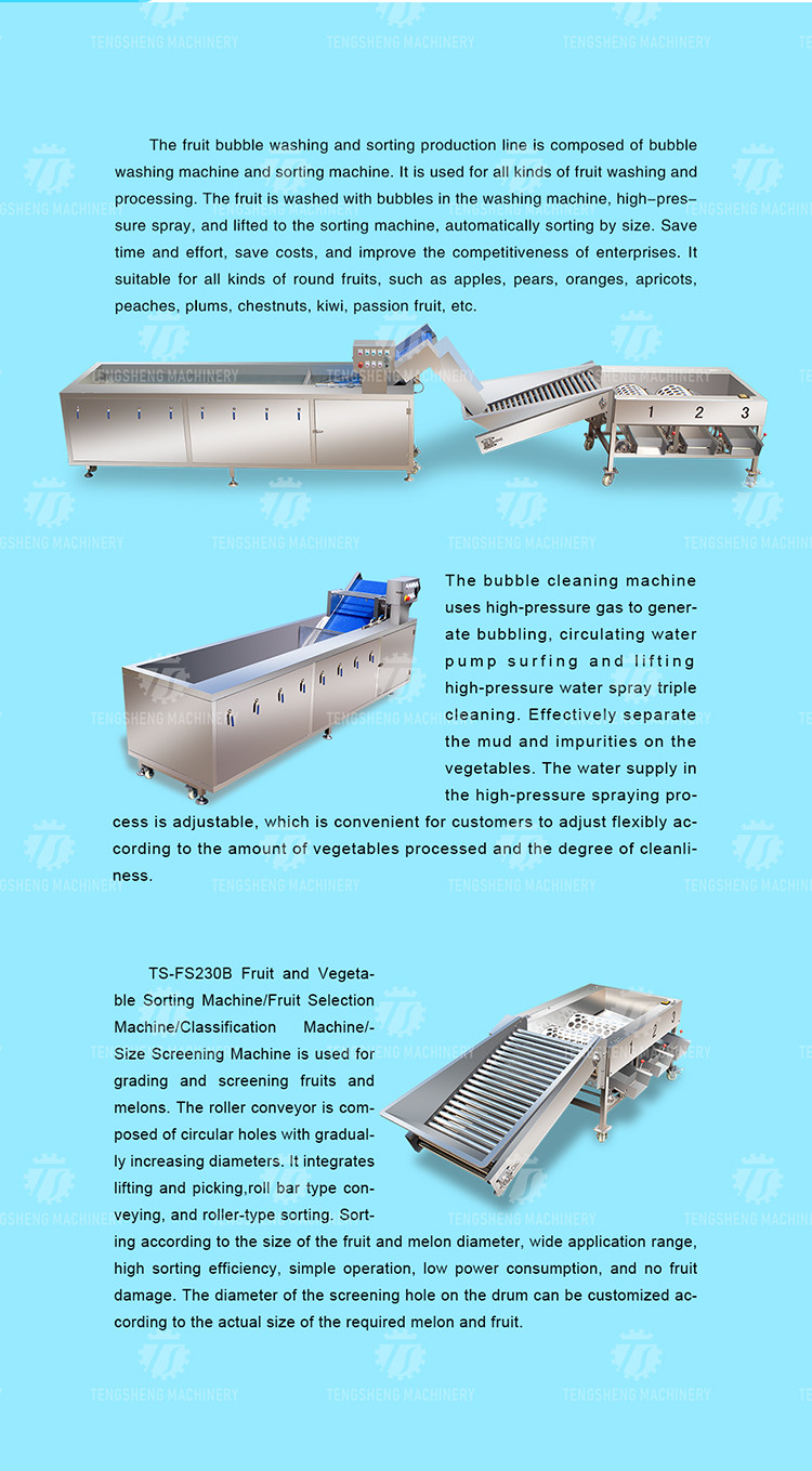 Multifunction Fruit And Vegetable Processing Line Automatic Washing And Sorting Machine