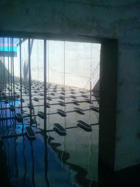 Municipal Sewage Treatment EPDM Fine Bubble Plate Aerator