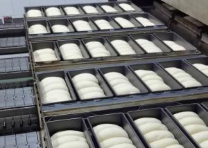 Buy cheap Continuous Sourdough Proofer product