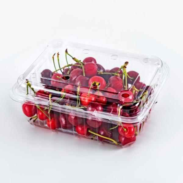 Blister Molding Customized Food Takeaway Containers
