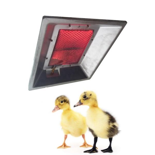 Quality THD2606 Poultry Brooder Heater Chicken House Infrared Catalytic Gas Brooder for sale