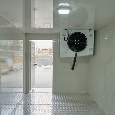 R134a/R404A Refrigerant 12m Length 60 cbm 40ft Refrigerated Reefer Container Cold Room Storage Durable Aluminum T-Bar Floor