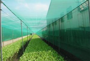 Buy cheap Professional Insect Mesh Netting , Durable Outdoor Mosquito Netting product