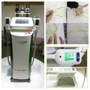 China Vertical Cryolipolysis Fat Freeze Slimming Machine For Body Shaping / Body Tightening on sale