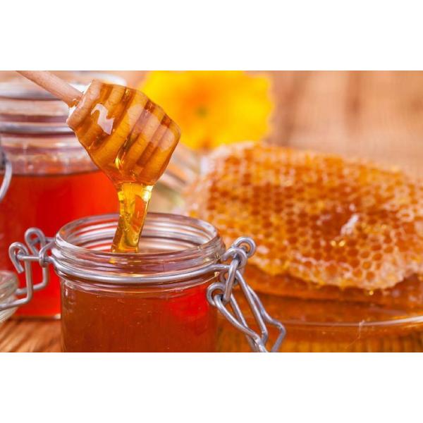 Commercial Honey Processing Machines 12 Frames Honey Extractor For Beekeeping