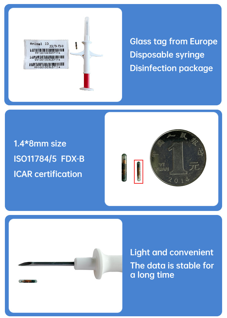 Injectable Transponders 134.2khz Pet ID Microchip Transponder With Implant Syringe ISO Transponder Microchip