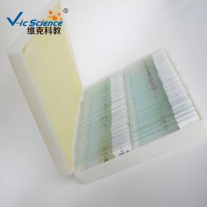 Buy cheap Professional Mixed Amscope Microscope Slides 100pcs Oem Service product