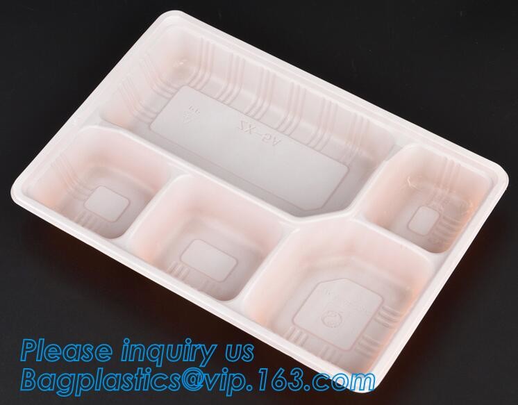 Blister large clear plastic fruit container with lid for fruit packaging,blister fruit box /container/ fruit Tray/ Clear