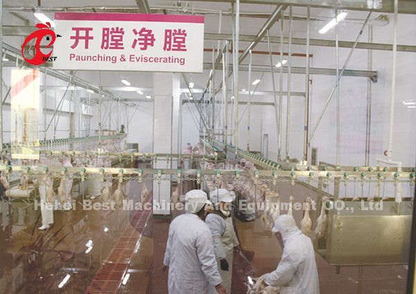 Large Capacity Broiler Processing System Automatic Broiler Slaughtering lines Star