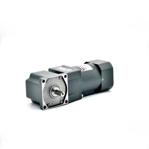 110V 220V Single/Three Phase AC/DC Induction Gear Motor Compact With Speed Controller