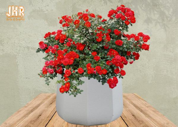 Quality Frosted Clay Plant Pots Homewares Decorative Items Geometric Flower Pots Garden Pots White Color for sale