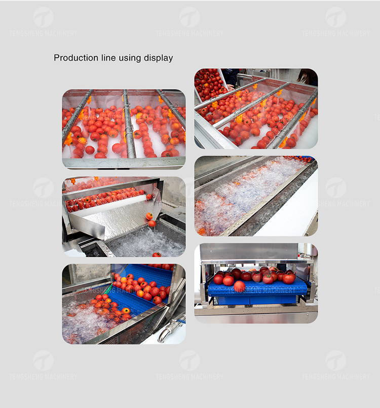 Multifunction Fruit And Vegetable Processing Line Parallel Brush Machine
