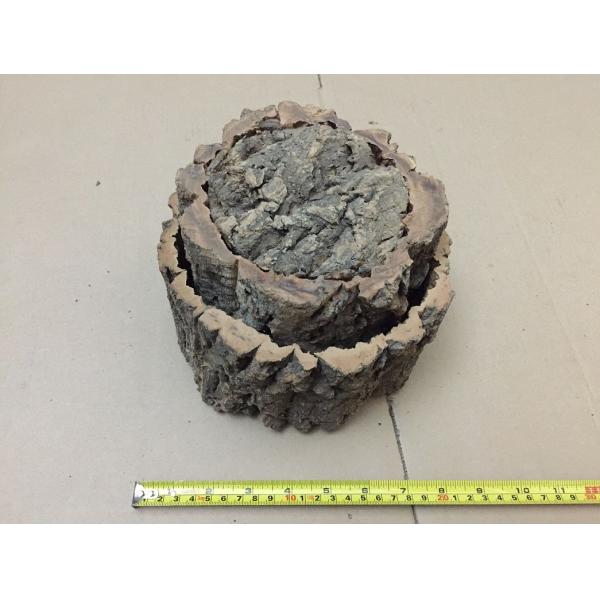 Nature Round Cork Bark Planter for for Gardening, Orchids, or Succulents