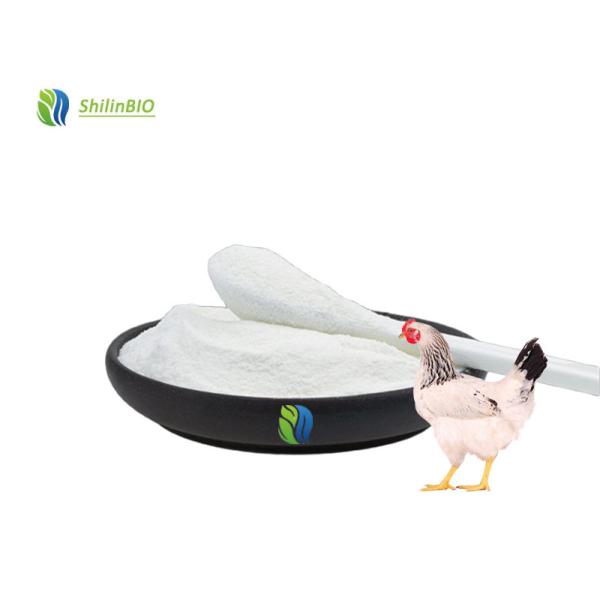 Chicken Type II Collagen Peptide