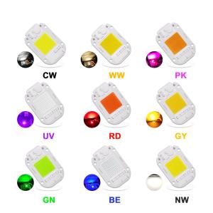 Cool White RGB LED Module 30W 220V LED COB Chip Color Temperature 6500K