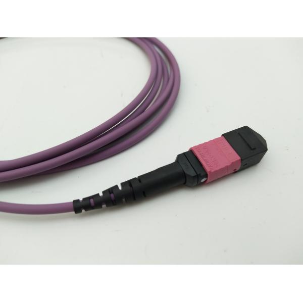OM1 OM2 OM4 Multimode MM MPO MTP Trunk Cable