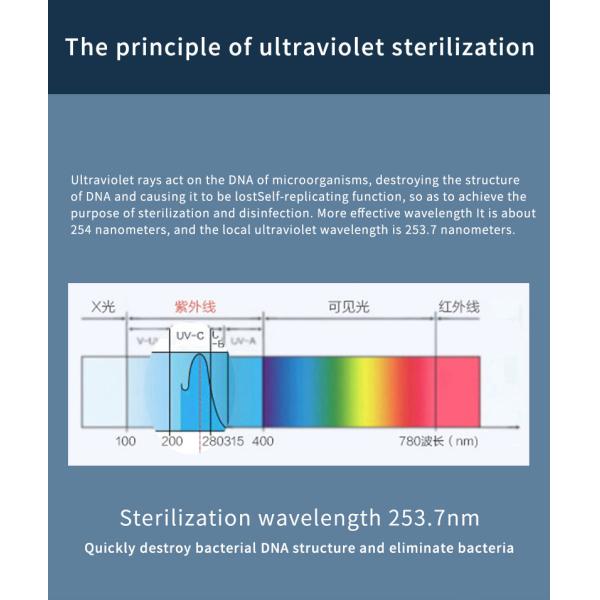 15W 4 in 1 Multifunctional Wireless Charger with UV Disinfection