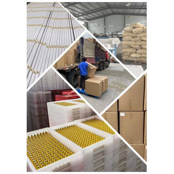 High Quality Full Automatic Poultry House Machinery with Corrosion Resistant Hot Dip Galvanised Steel and Automatic Feeding System