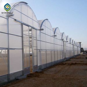 Vegetable Multi Span 3.0m Arch PC Sheet Greenhouse