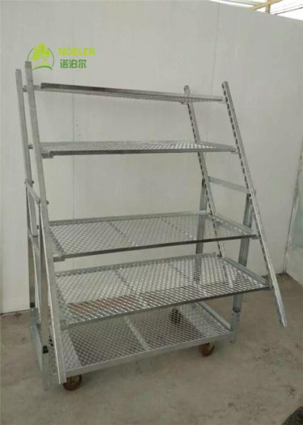 Quality Display Flower Trolley CC Racks Garden Cart , Flower Display Trolley for sale